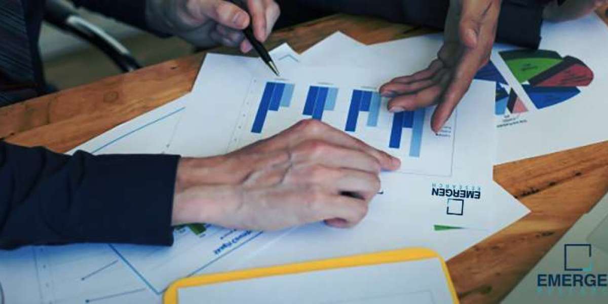 A2P SMS Market Status and Outlook 2024