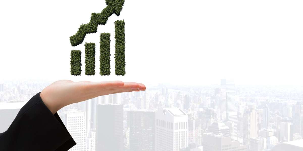 Winning Competitive Markets with Smart Directory Strategy
